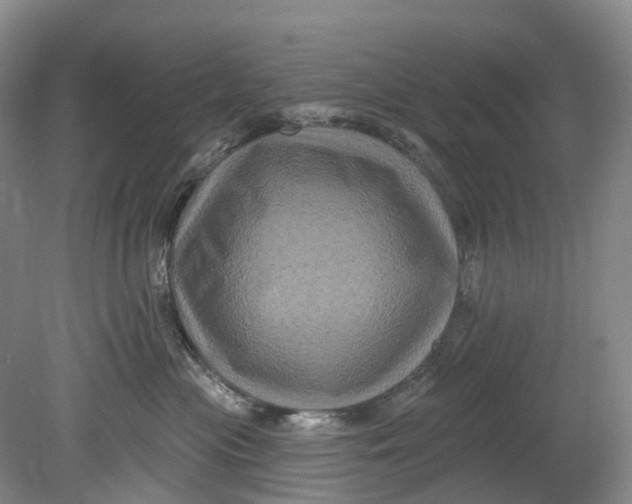 X0000080690477200701051105