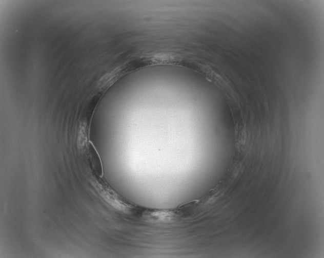 X0000080690478200701051105