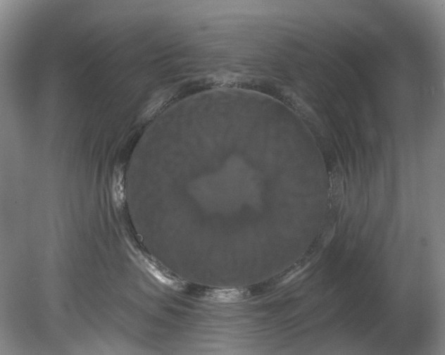 X0000080690479200701051105
