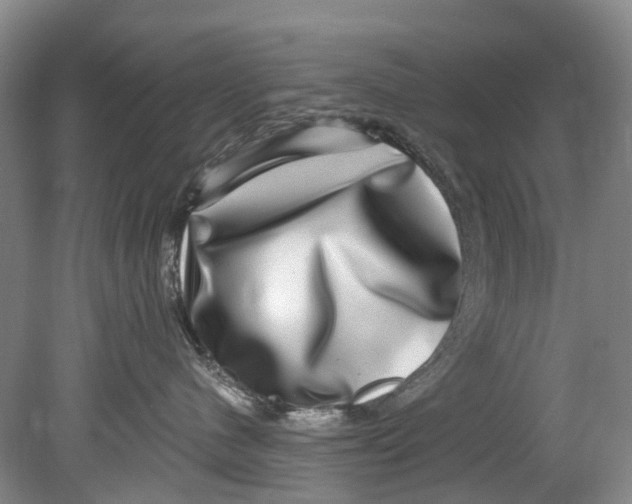 X0000080690480200701051105