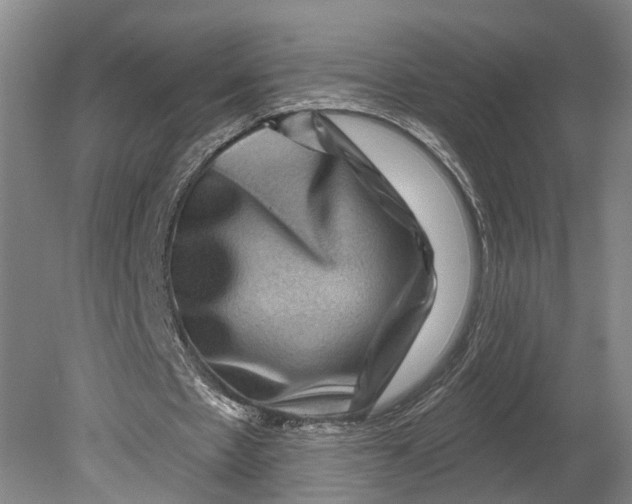 X0000080690481200701051104