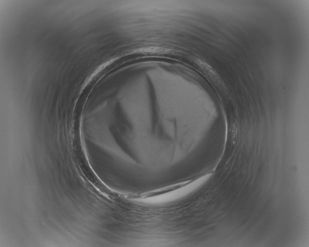 X0000080690484200701051104