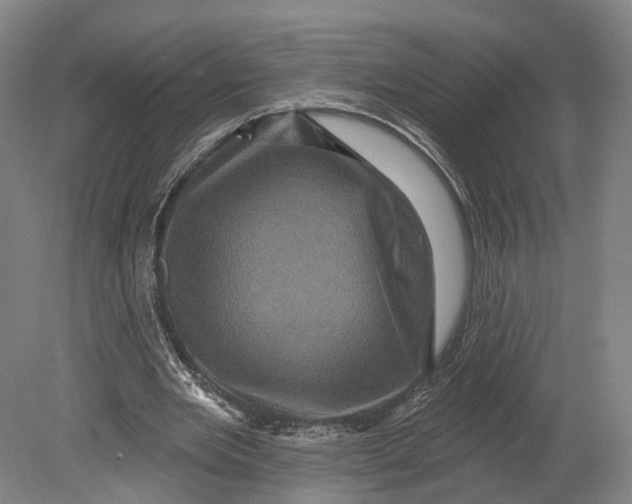 X0000080690485200701051104