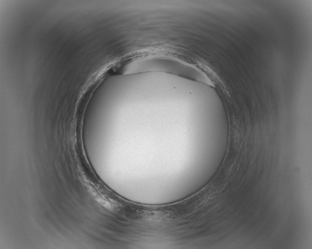 X0000080690486200701051104