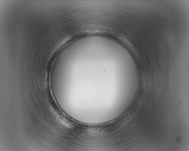 X0000080690490200701051104