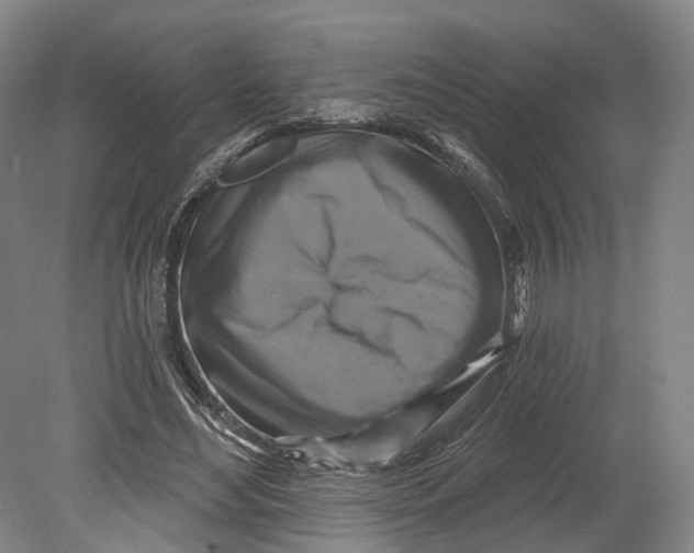 X0000080690492200701051104