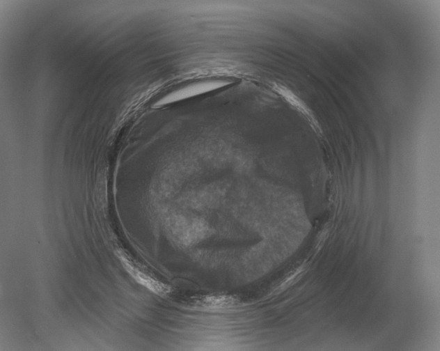 X0000080690493200701051104