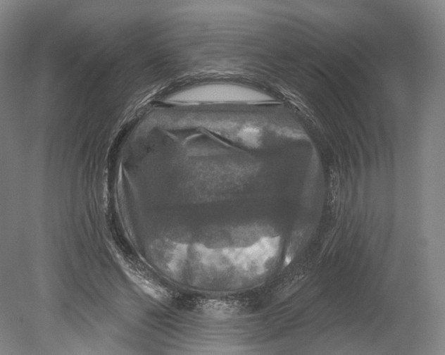 X0000080690494200701051104