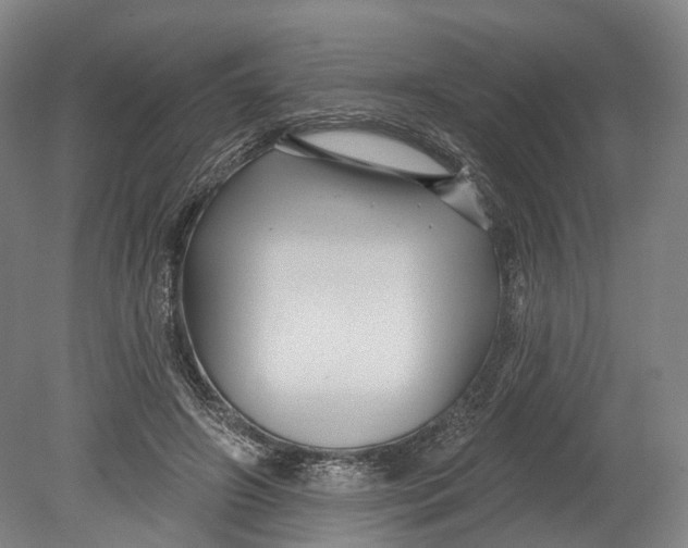 X0000080690498200701051104