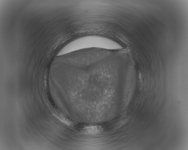 X0000080690499200701051104