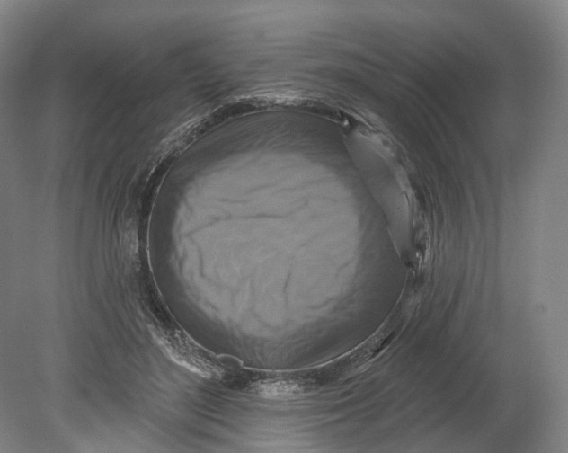X0000080690500200701051104