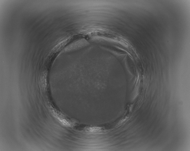 X0000080690501200701051104