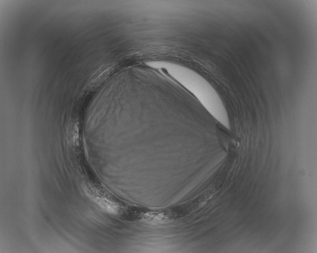 X0000080690502200701051104