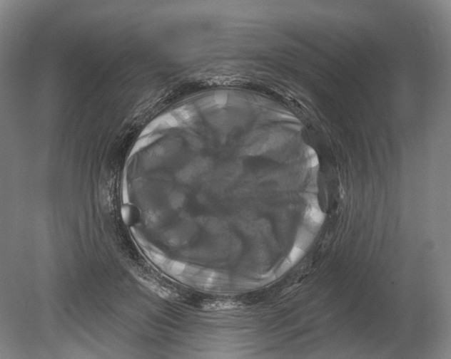 X0000080690503200701051104