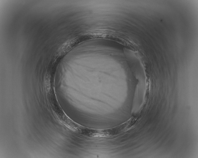 X0000080690504200701051104