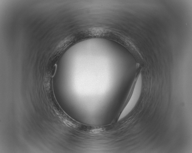 X0000080690505200701051104