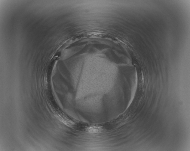 X0000080690508200701051103