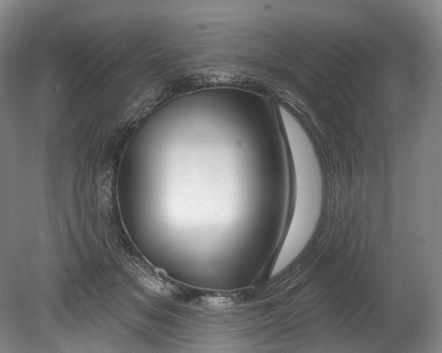 X0000080690509200701051103