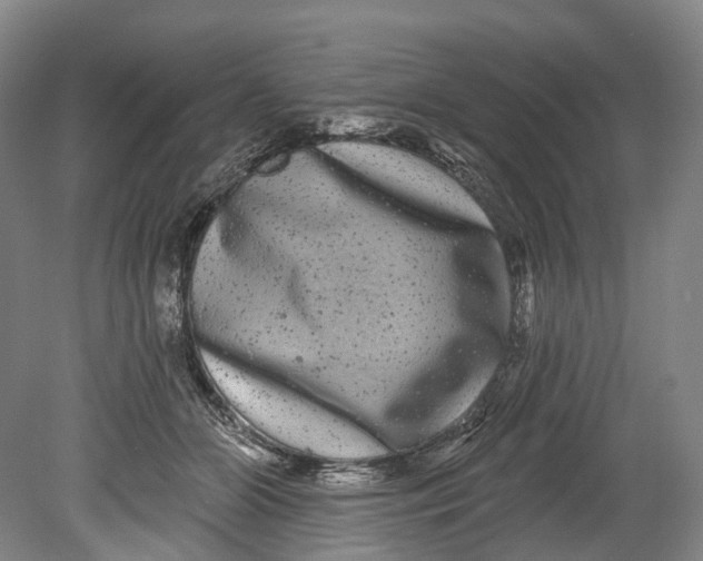 X0000080690510200701051103