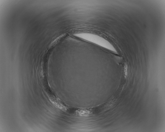 X0000080690512200701051103