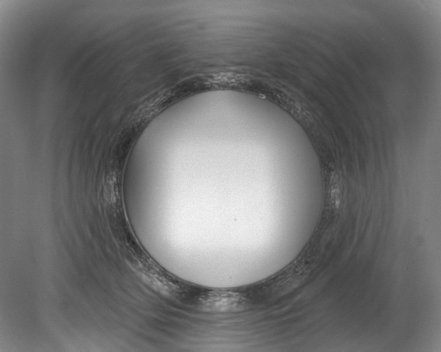 X0000080690514200701051103