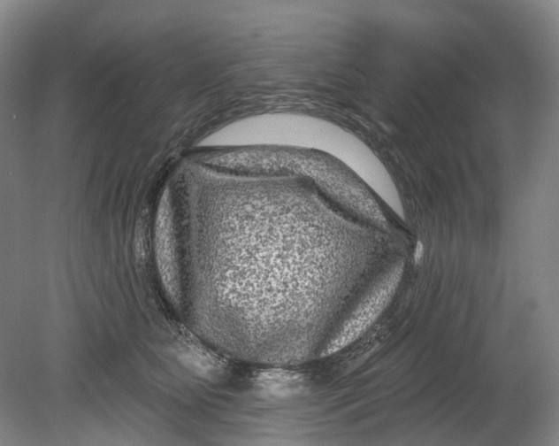 X0000080690515200701051103