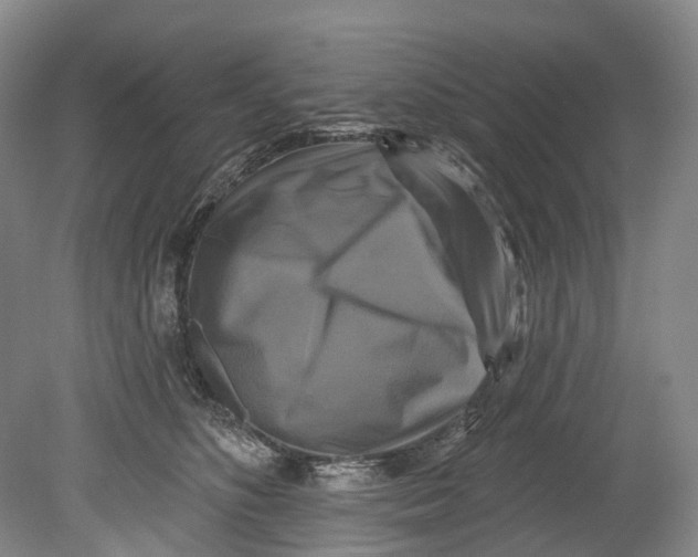X0000080690516200701051103