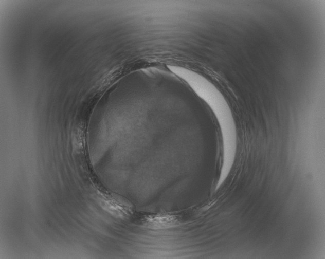 X0000080690517200701051103