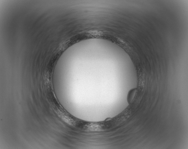 X0000080690518200701051103