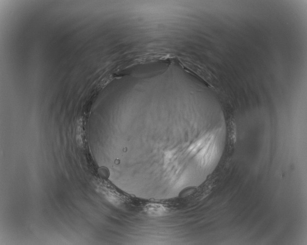 X0000080690519200701051103