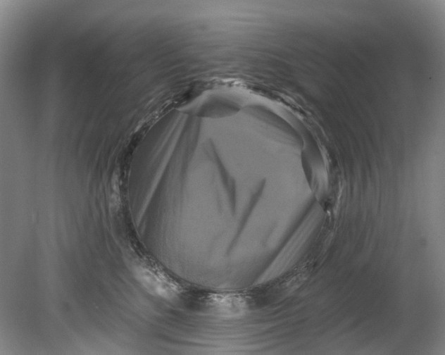 X0000080690520200701051103
