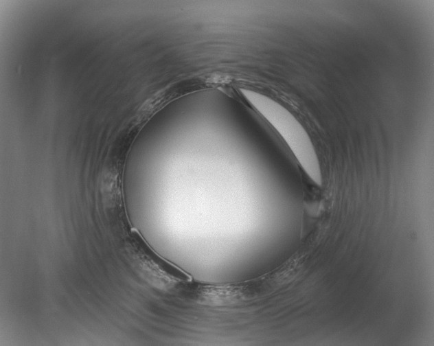 X0000080690521200701051103
