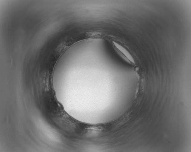 X0000080690525200701051103