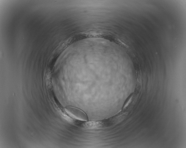 X0000080690526200701051103