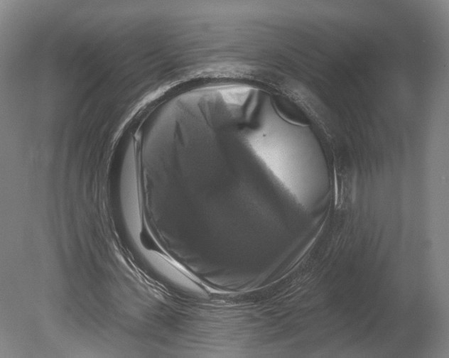 X0000080690531200701051102