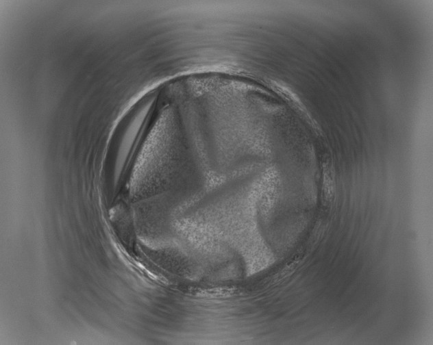 X0000080690532200701051102