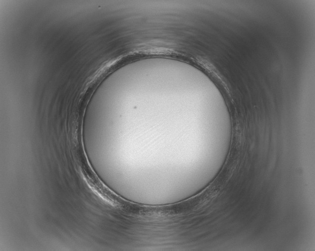 X0000080690533200701051102