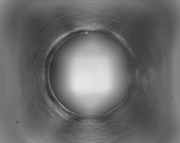 X0000080690535200701051102