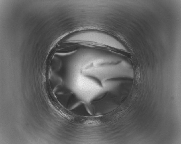 X0000080690536200701051102