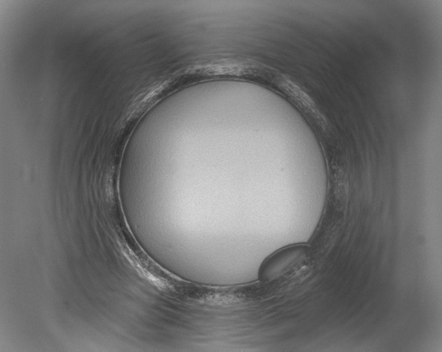 X0000080690537200701051102