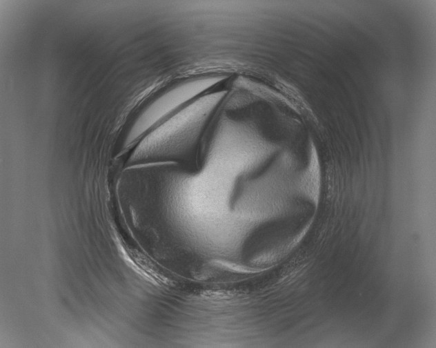 X0000080690538200701051103