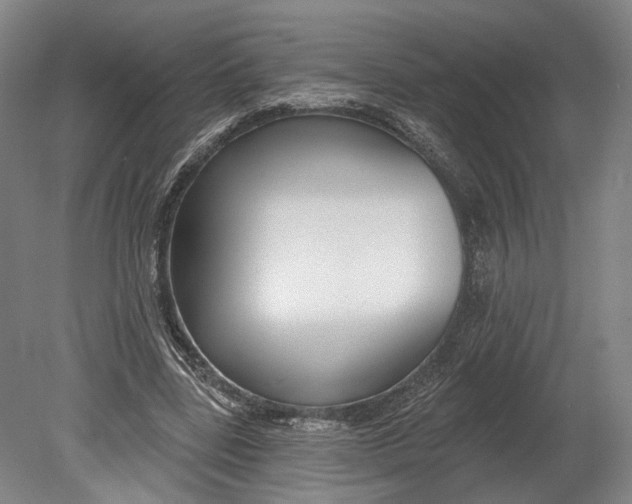 X0000080690539200701051103