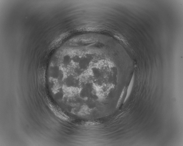 X0000080690542200701051103