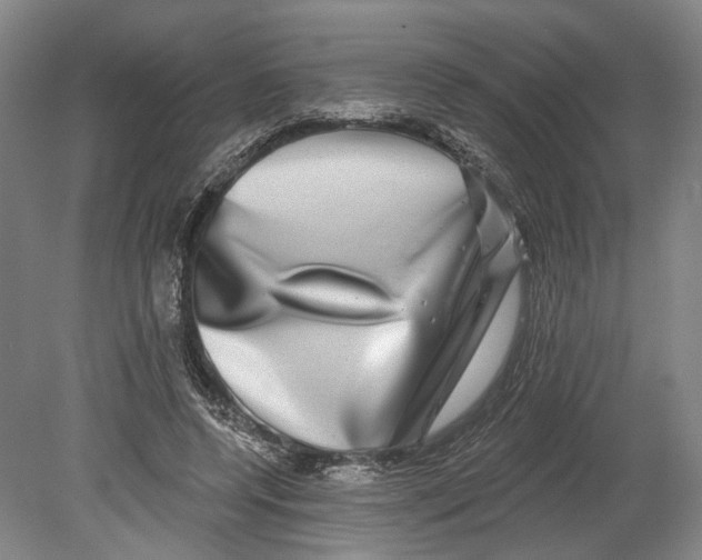 X0000080690544200701051103