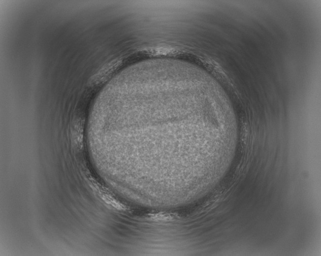 X0000080690545200701051103