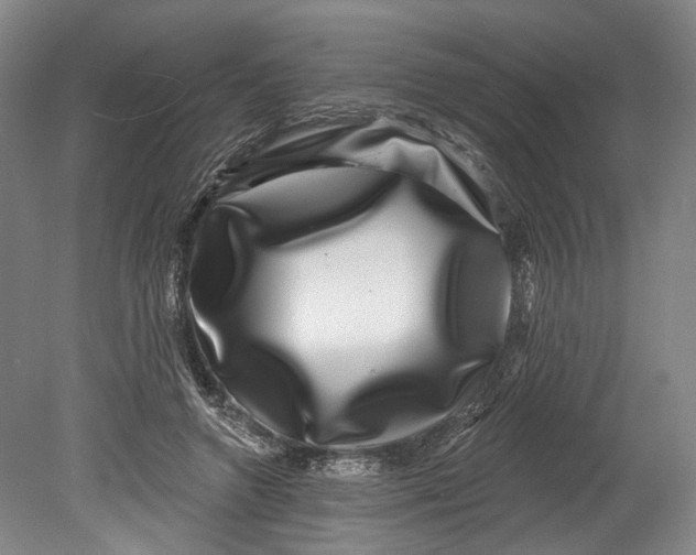 X0000080690546200701051103