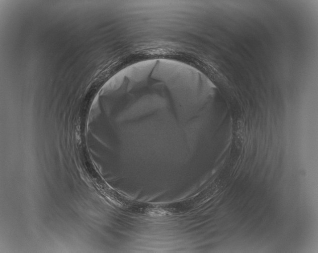 X0000080690547200701051103