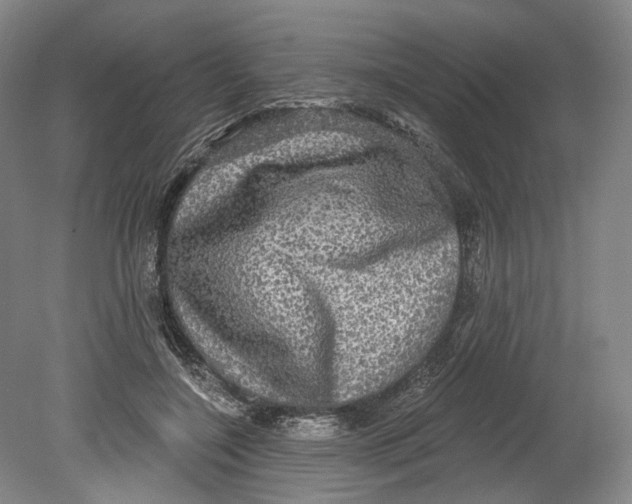 X0000080690548200701051103