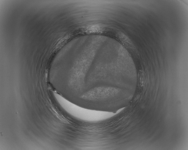 X0000080690550200701051103