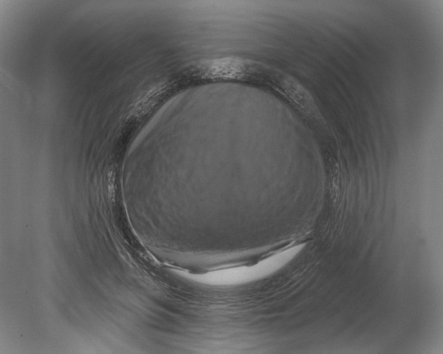 X0000080690551200701051103